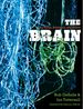 The Brain